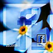 pl_204_flokati Kopie 4 blau.JPG